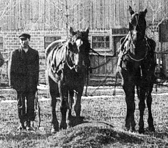 [Herb with horses at brickyard]